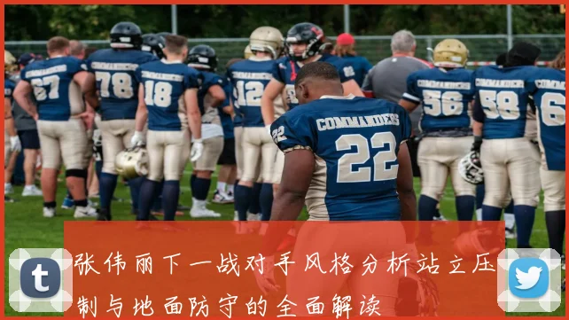 张伟丽下一战对手风格分析站立压制与地面防守的全面解读